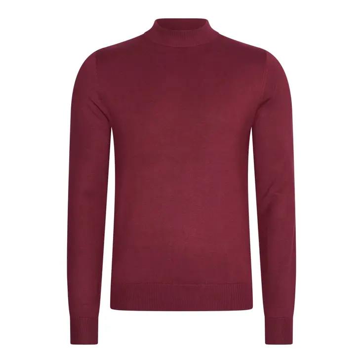 Heren Turtle Neck Trui Bordeaux