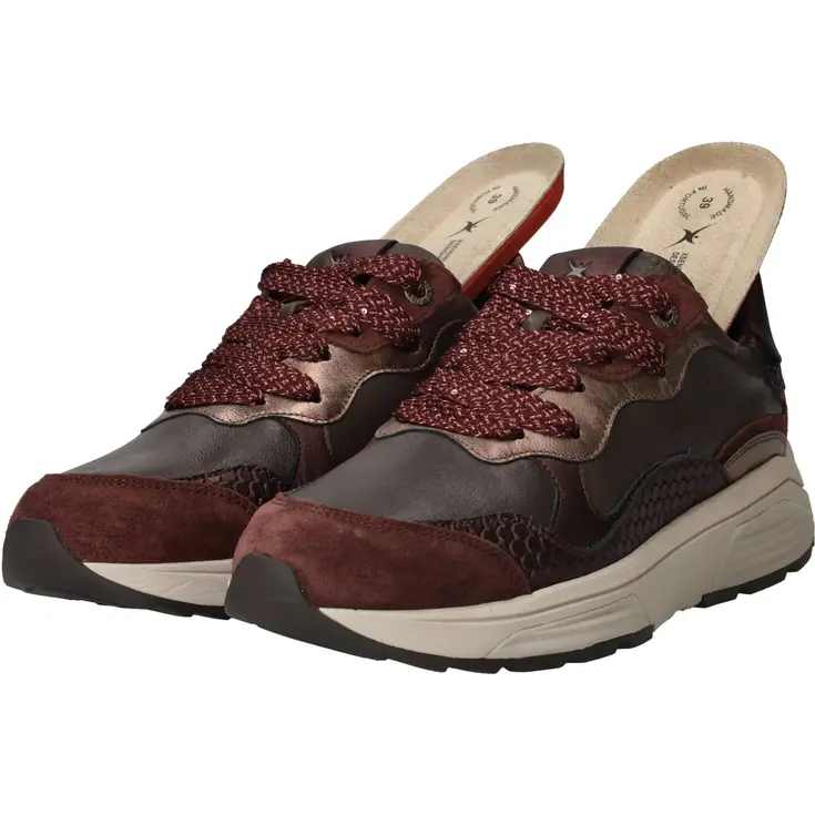 Rainbow Stretchwalker GX veterschoenen Dames