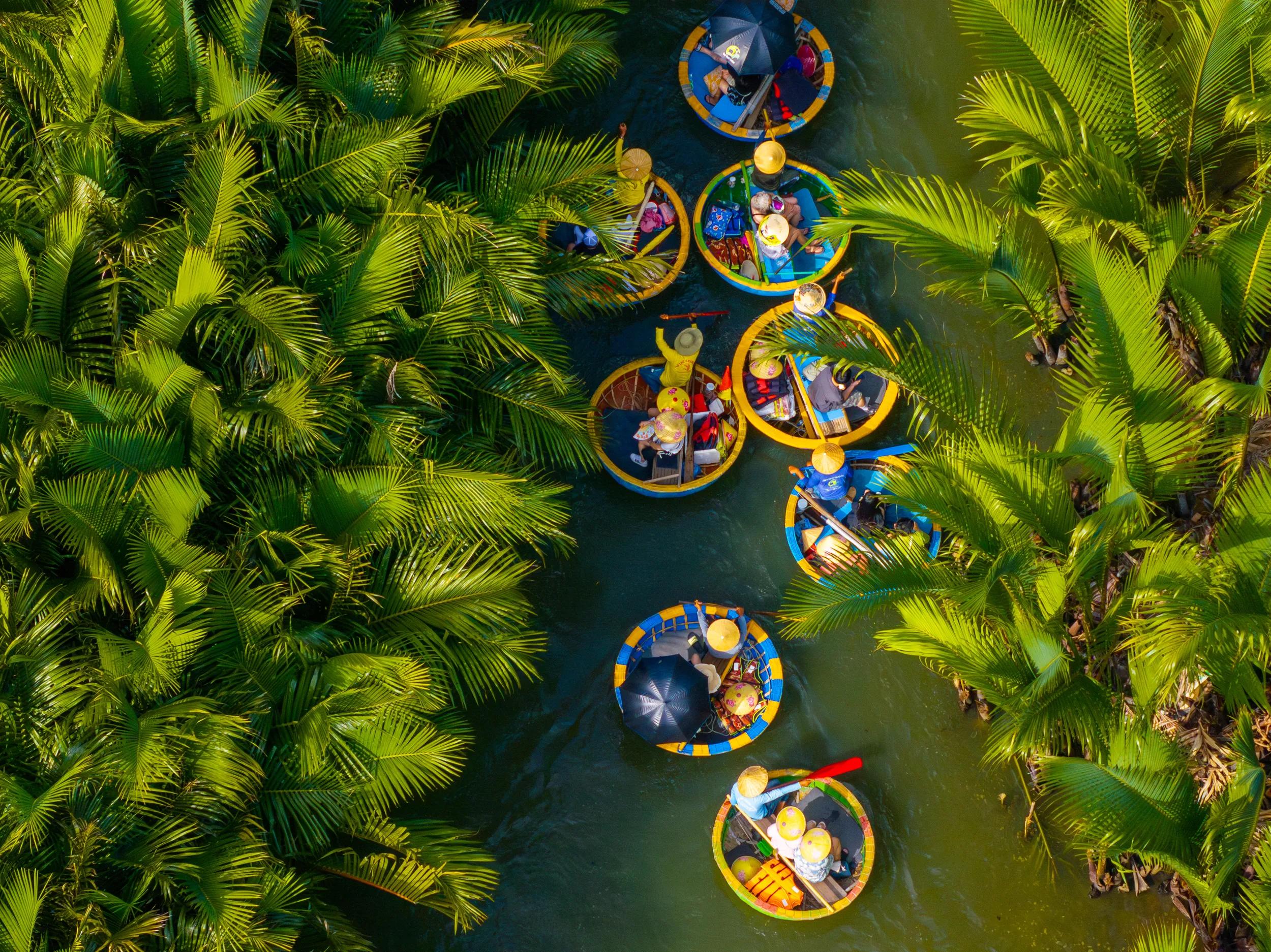 Aerial view of a coconut village basket boat tour. Palms forest in Hoi An ancient town, Cam Thanh, Vietnam. Tourists having an excursion and fun in Thu Bon river. Travel and landscape concept
