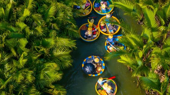 Aerial view of a coconut village basket boat tour. Palms forest in Hoi An ancient town, Cam Thanh, Vietnam. Tourists having an excursion and fun in Thu Bon river. Travel and landscape concept