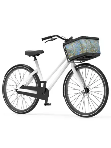 Fietsmand Basky Van Gogh Bloesem