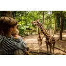 DierenPark Amersfoort Regulier
