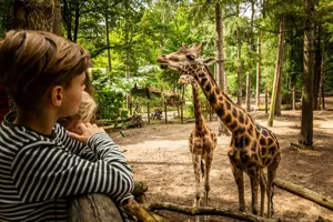 DierenPark Amersfoort Regulier