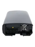 Gazelle Panasonic Goud 36V 11Ah 396Wh