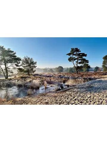 De allermooiste wandelroutes van Nederland