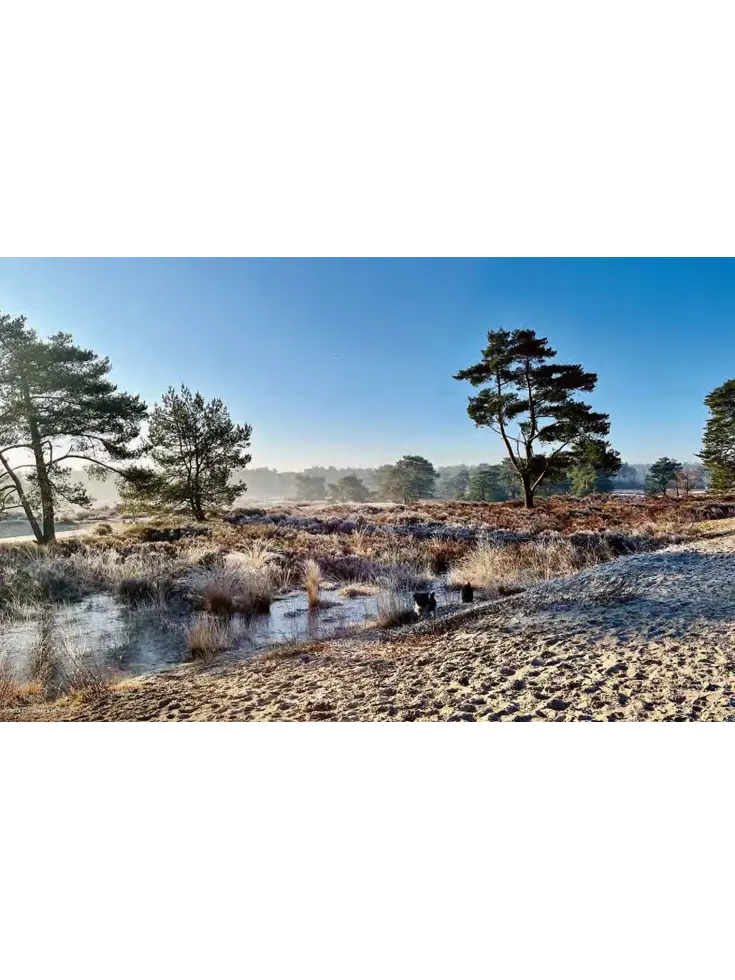 De allermooiste wandelroutes van Nederland