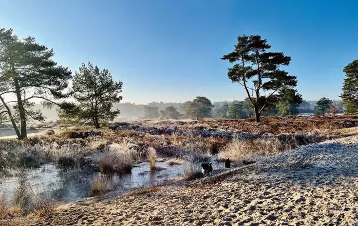 De allermooiste wandelroutes van Nederland