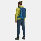 Ortovox Traverse 20 Backpack mountain-rose