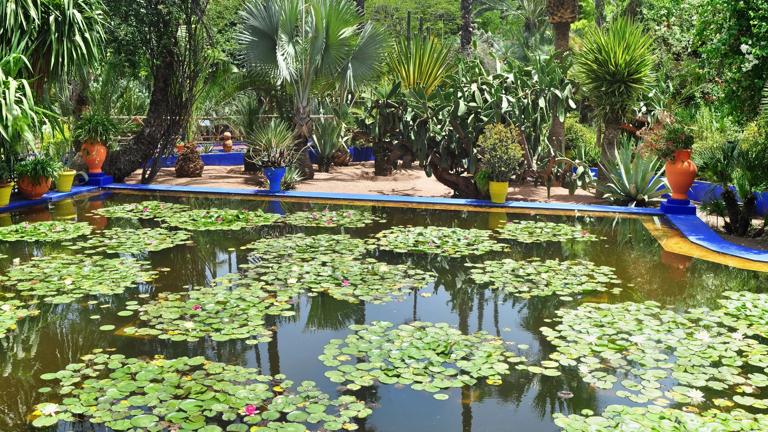 marokko_marrakech-safi_marrakesh_jardin-majorelle_majorelletuin_vijver_planten__b