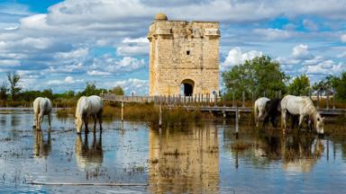 frankrijk_provence_camargue_carbonniere-toren_paarden_getty