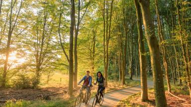 Netherlands, Friesland, Sloten, Ruben Drenth Netherlands