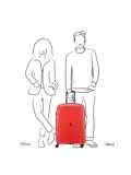 Belmont Plus MR Trolley M Expandable  | 87 L