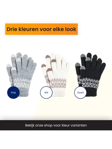 Touchscreen Handschoenen Winter - Grijs