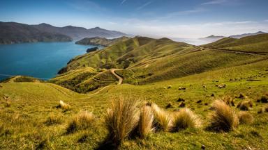 nieuw-zeeland_zuidereiland_marlborough-sounds_french-pass_fjorden_gras_shutterstock