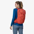 Patagonia Terravia Pack 22L S pimento red