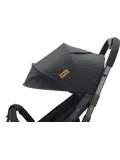 Ding Remi Wandelwagen