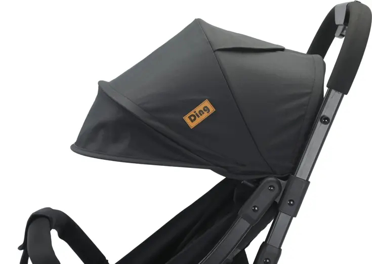 Ding Remi Wandelwagen