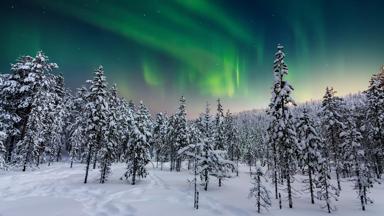 finland_algemeen_natuur_noorderlicht_sneeuw_bos_uitzicht_getty