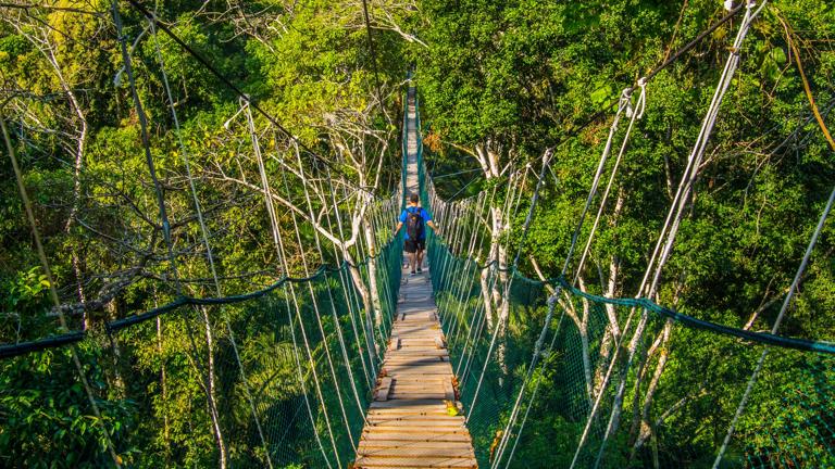 peru_amazone_tambopata_trail door jungle reizigers_b.jpg