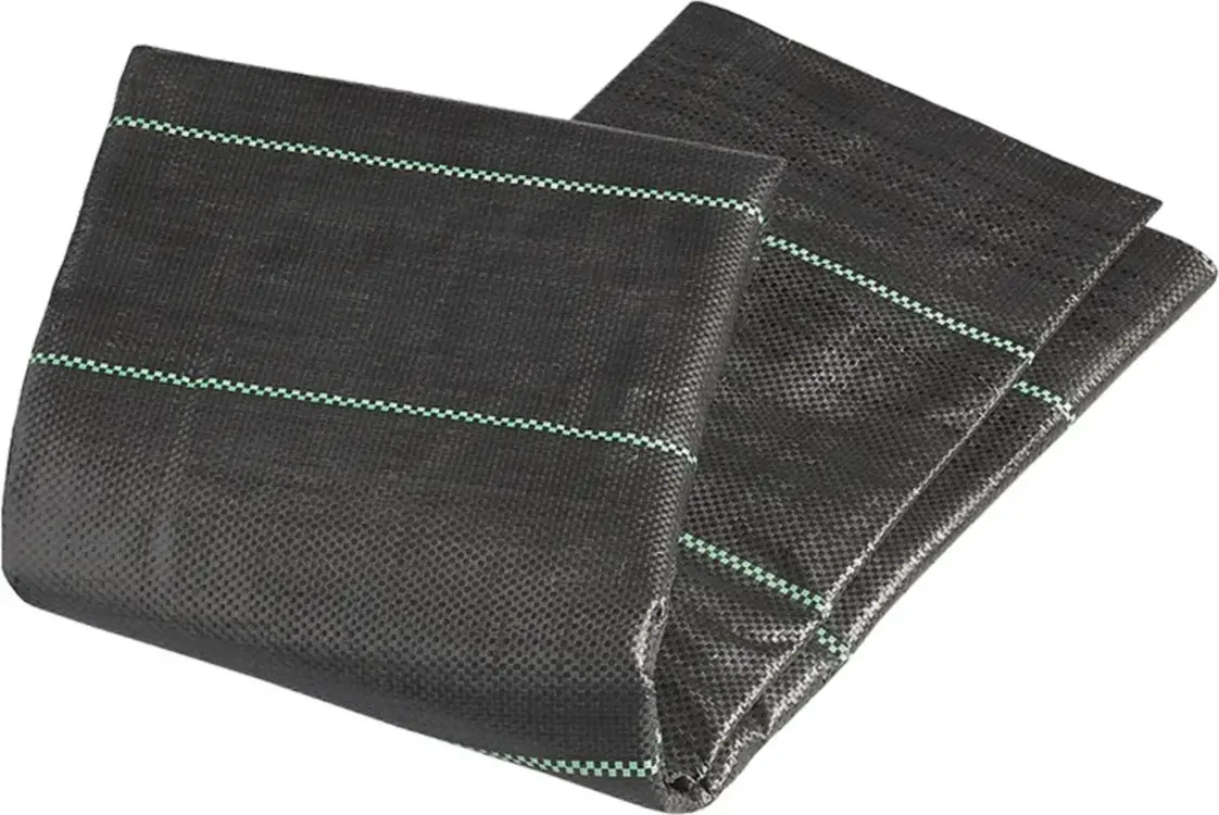 ProPlus Grondzeil - 2.5x4m - Tentzeil