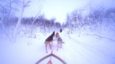 noorwegen_noord-noorwegen_alta_glod-explorer_activiteit-sneeuwschoenwandelen-husky 15