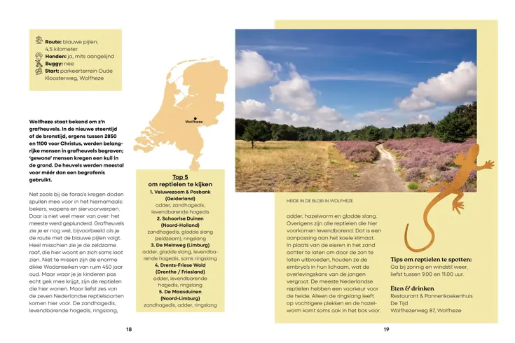 Het hele jaar door op stap