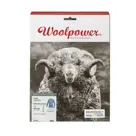 Woolpower - Thermoshirt