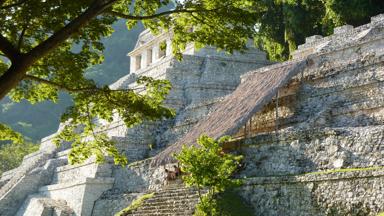 mexico_palenque_piramide_overzicht_a.jpg