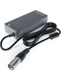 Lader geschikt voor Riverside 500E E bike