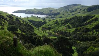 nieuw-zeeland_coromandel_landschap_uitzicht_w.jpg