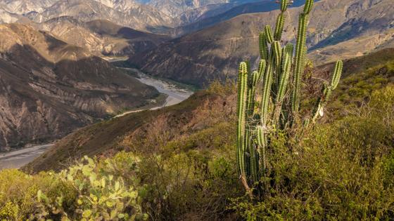 fox_colombia_chicamocha_canyon_2_a