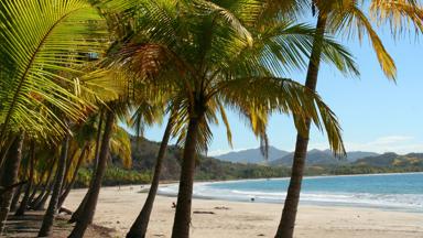 costa-rica_samara_strand_zee_palmbomen_f