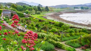 schotland_highlands_poolewe_inverewe-gardens_bloemen_tuin_zee_stel_GettyImages-1224528398