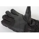 Skihandschoenen voor volwassenen - Taslan