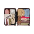 The Flow Cabin Trolley  | 37 L