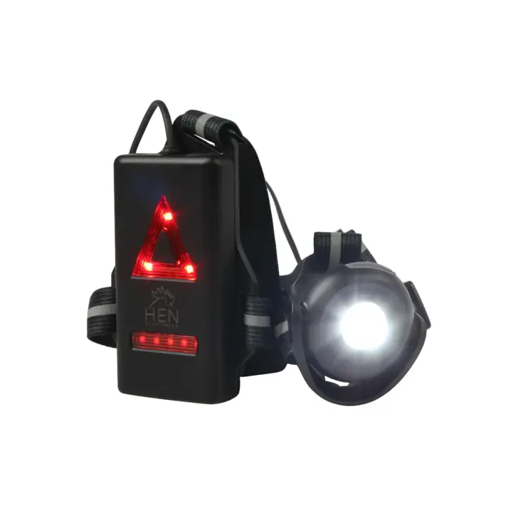 Borstlamp 500 lumen