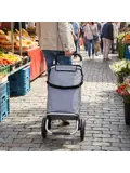 boodschappentrolley koeltas 40L