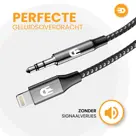 Drivv. Lightning naar AUX Kabel - 2 Meter