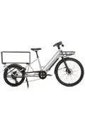 La Famille elektrische longtail