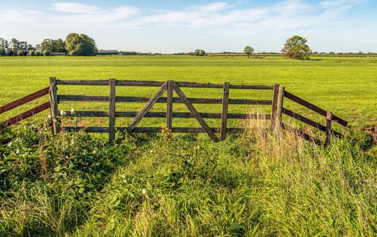 De recreatieve ontwikkeling van het Groene Hart