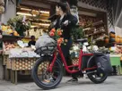 Uco Plus - transport ebike - rood - Sum