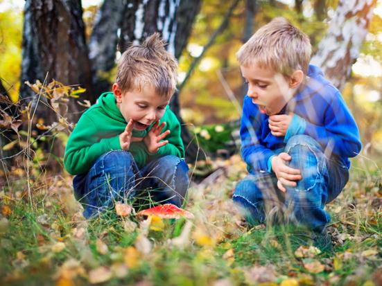 Kinderen zien vliegenzwam