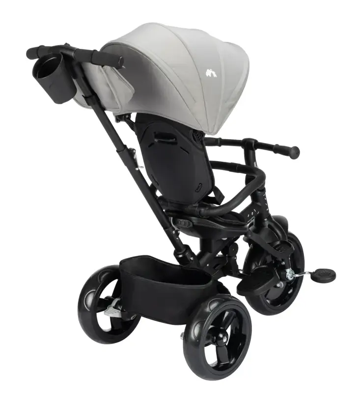 Windy kinderwagen - 2-in-1 driewieler