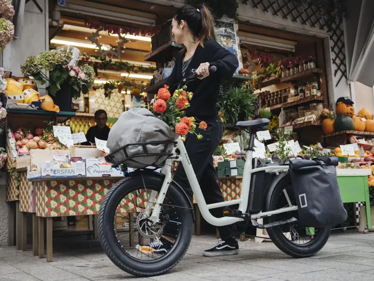 Uco Steel - transport ebike - Sum