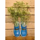 Roll Slipper - Klompen dames