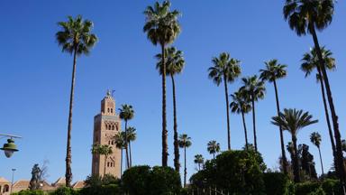 marokko_marrakech-safi_marrakesh_kotoubia-moskee_palmbomen_minnaret_park_d
