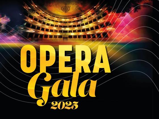 Impressie van Opera Gala