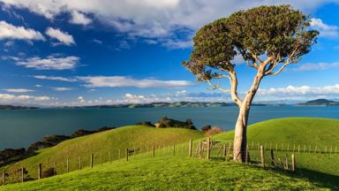 nieuw-zeeland_auckland_duder-regional-park_b.jpg