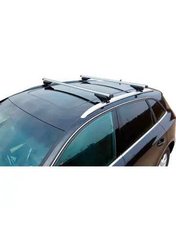 A99 gesloten of kleine open dakreling - Dakdragerset - Twinny Load