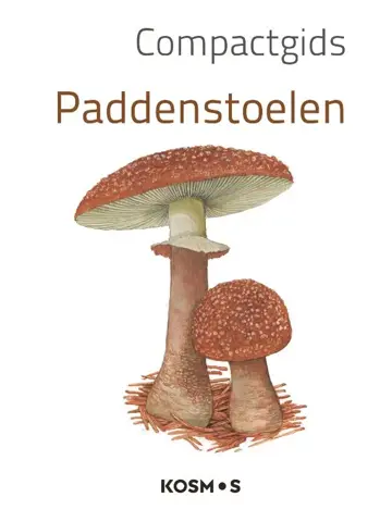 Compact Gids Paddenstoel